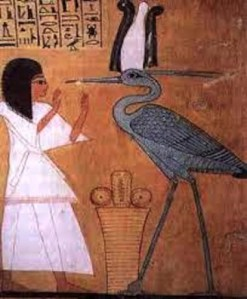 Fenice egizia untitled